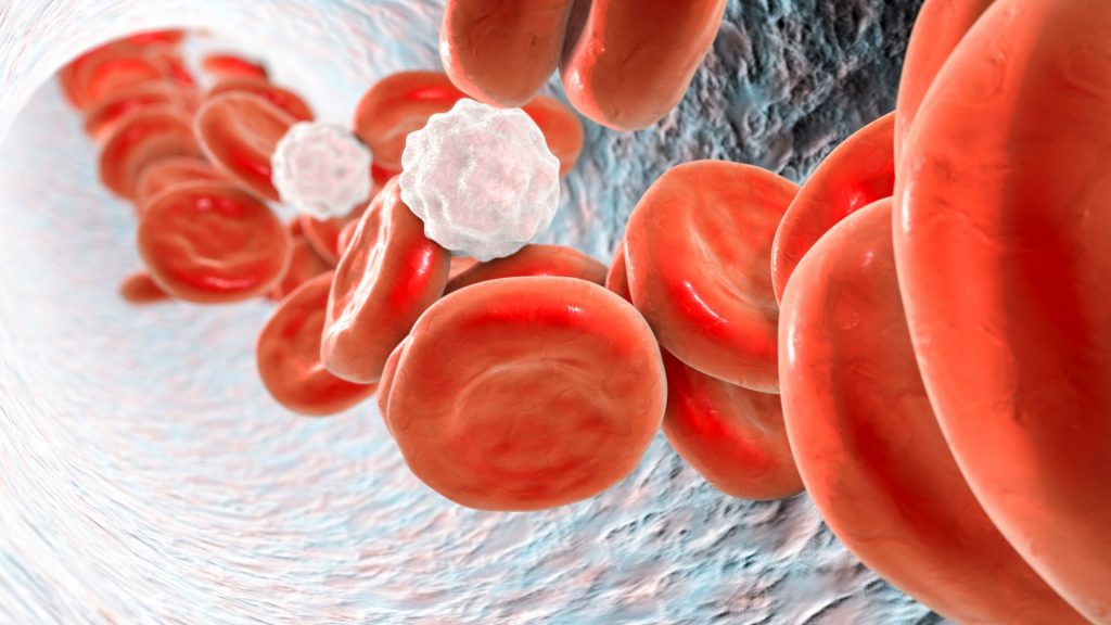 Krew i jej składniki widoczne na zdjęciu to główne elementy, których dotyczą choroby hematologiczne.